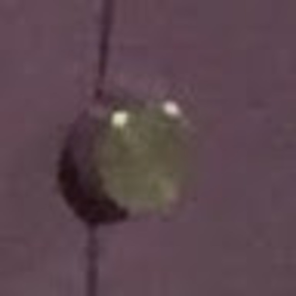 Meet your Posher, Raphael - Picture 1 of 1